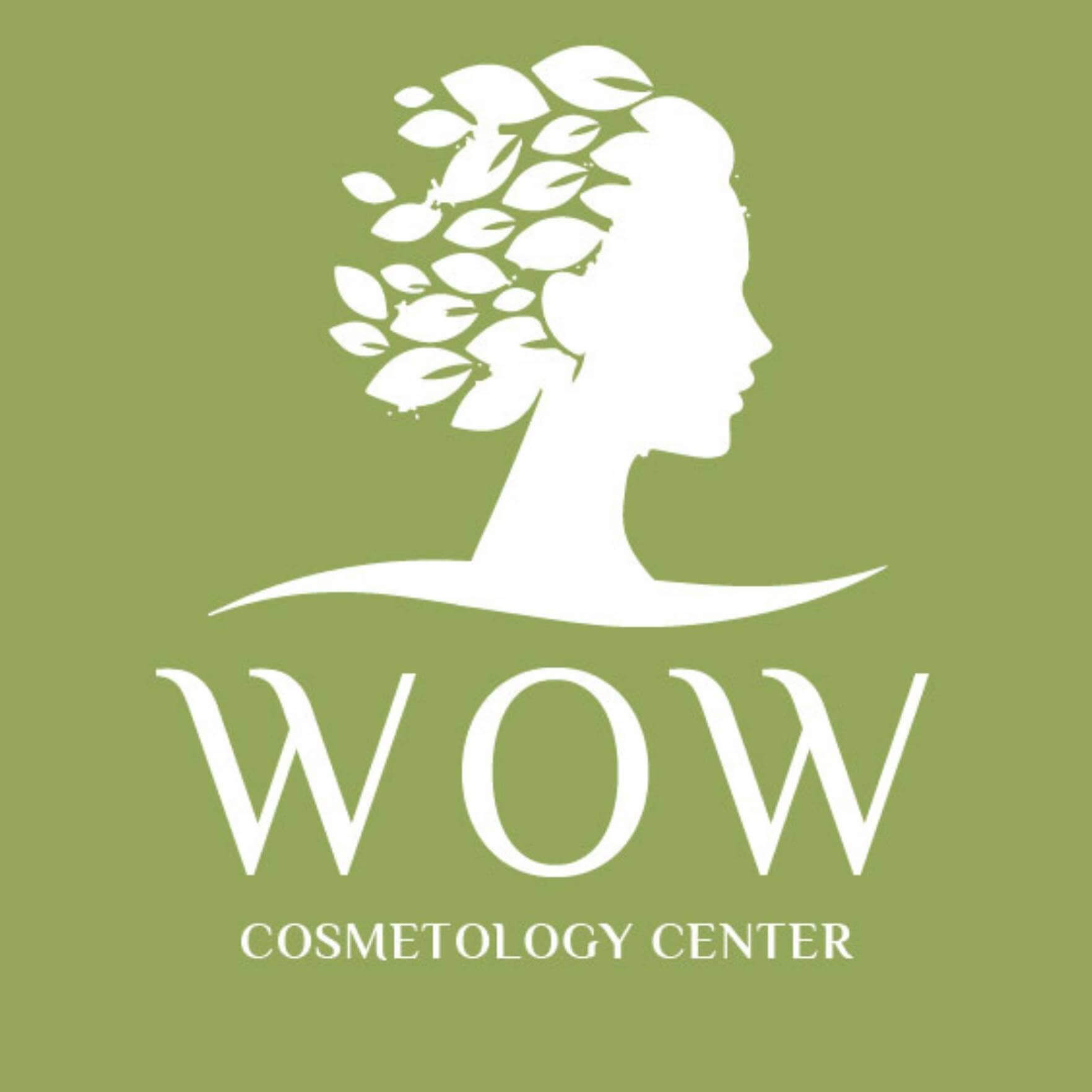 Wow Cosmetology Logo