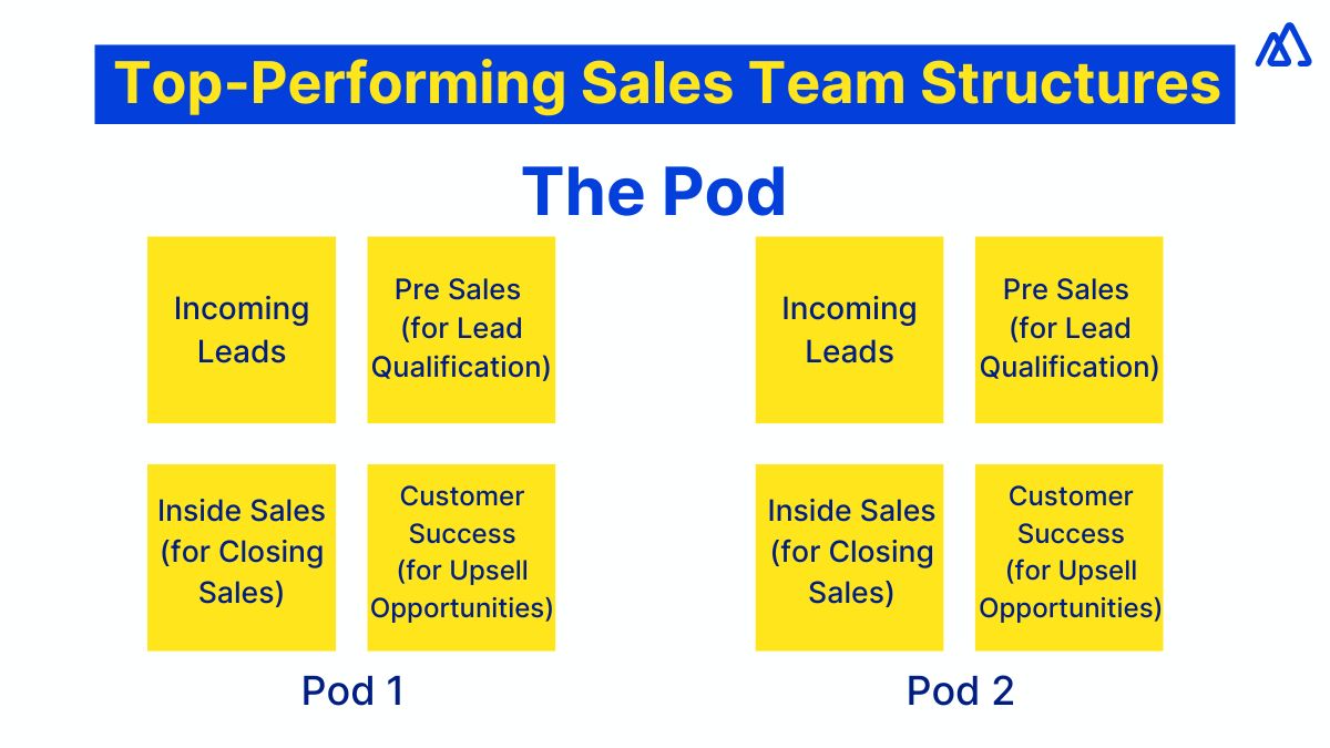 Building A Winning Sales Team Strategies For Team Structuring