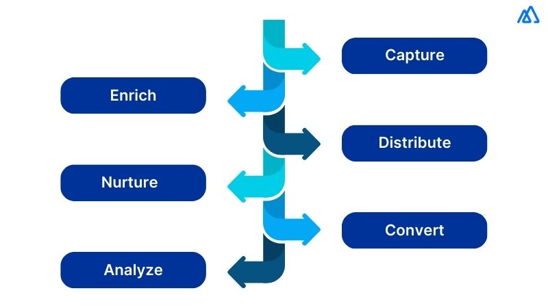 Process of Lead Management in CRM Explained